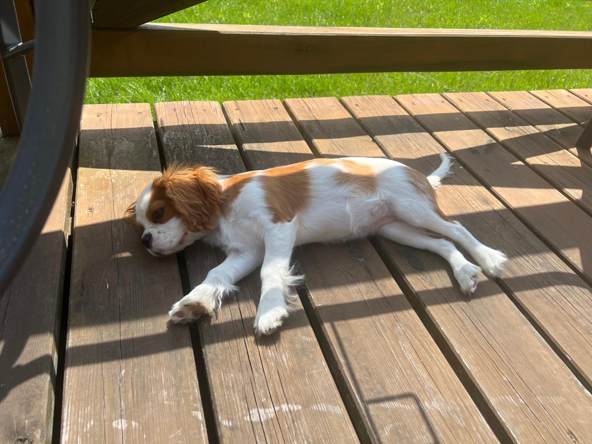 Ferienhaus Caloroczne Z Antresola Przytulisko Na Mazurach Ruciane-Nida